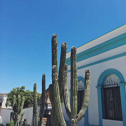 SPRING TRAVEL DIARIES