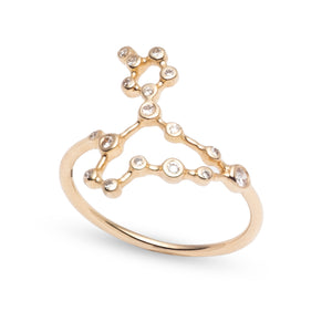 Zodiacs 14k & Diamond Pisces + Water Ring