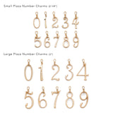Plaza Number Charm #4 Small
