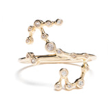 Zodiacs 14k & Diamond Scorpio + Water Ring