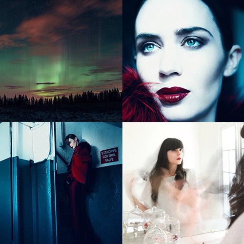 OUR WEEKLY OBSESSIONS