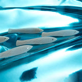 Sardine Fish Hair Clip Set in Silver Acetate with Rhinestone