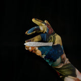 Sardine Fish Hair Clip Set in Silver Acetate with Rhinestone