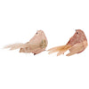 Blush Birds Ornament Set
