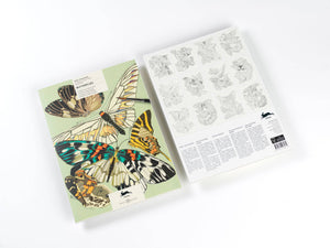 Butterflies Artists' Colouring Book