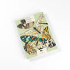 Butterflies Artists' Colouring Book
