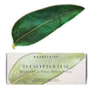 Eucalyptus Headache/Sinus Relief Pillow