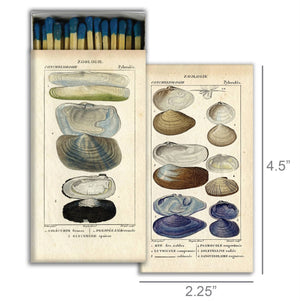 Matches - Seashell Specimens