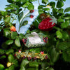Forest Berry Strawberry Jewel Beetle Acetate Hiar Claw Clip