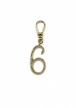 Frost Fine 10k & Diamond Pavé  Number 6 Charm