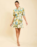 Mestiza Brooklyn mini dress