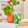 Mint Loofa Bath Soap 5oz - Wrapped 6 Pack