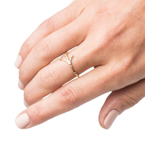 Zodiacs 14k & Diamond Cancer + Water Ring