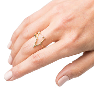 Zodiacs 14k & Diamond Capricorn + Earth Ring