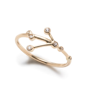 Zodiacs 14k & Diamond Cancer + Water Ring