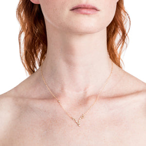 Zodiacs 14k & Diamond Pisces + Water Necklace