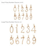 Plaza Number Charm #7 Large