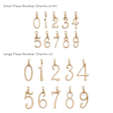 Plaza Number Charm #1 Large