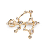 Zodiacs 14k & Diamond Aquarius + Air Ring