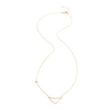 Zodiacs 14k & Diamond Capricorn + Earth Necklace