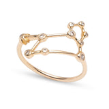 Zodiacs 14k & Diamond Leo + Fire Ring